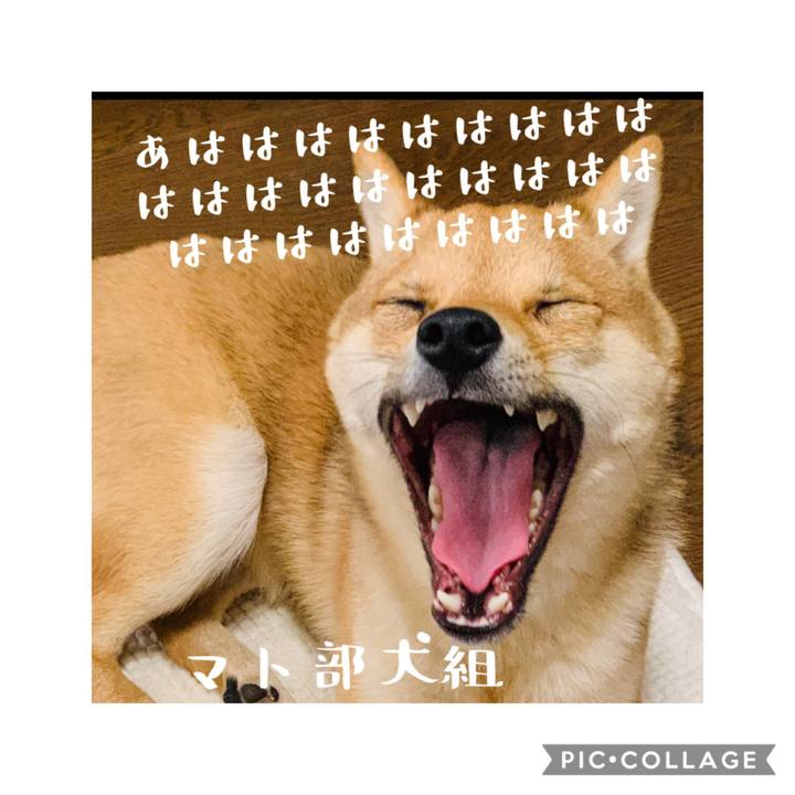 2100b203 c481 4205 a6d6 718b7b124fd0 1568017268058