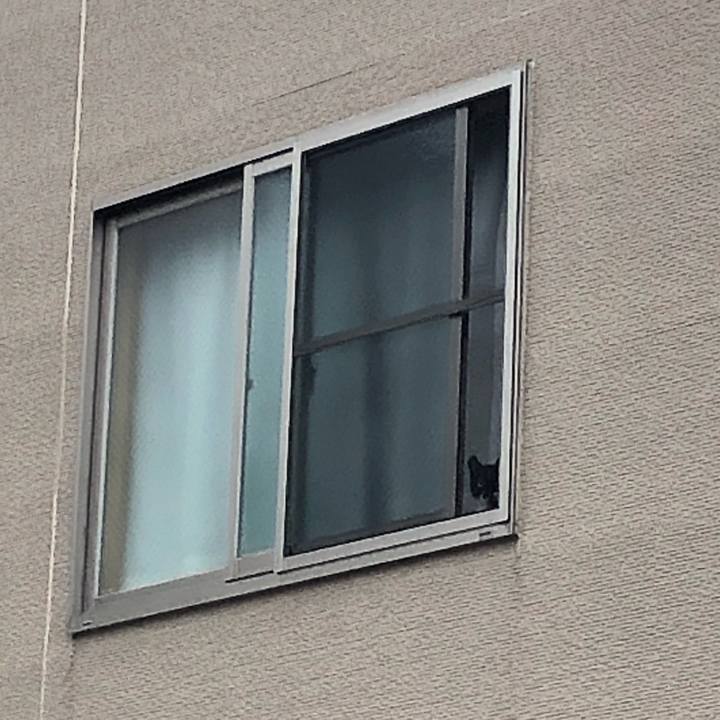 2100e8a3 4f13 4528 9522 23f5a265cb00 1593844147141