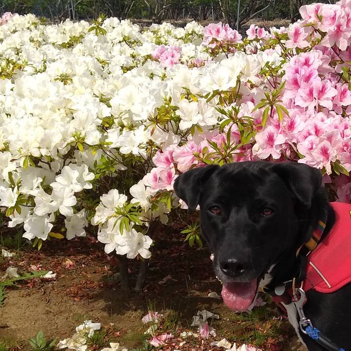 21012a5f 4cdc 49ea 876c 1b306e45f820 1589158812272