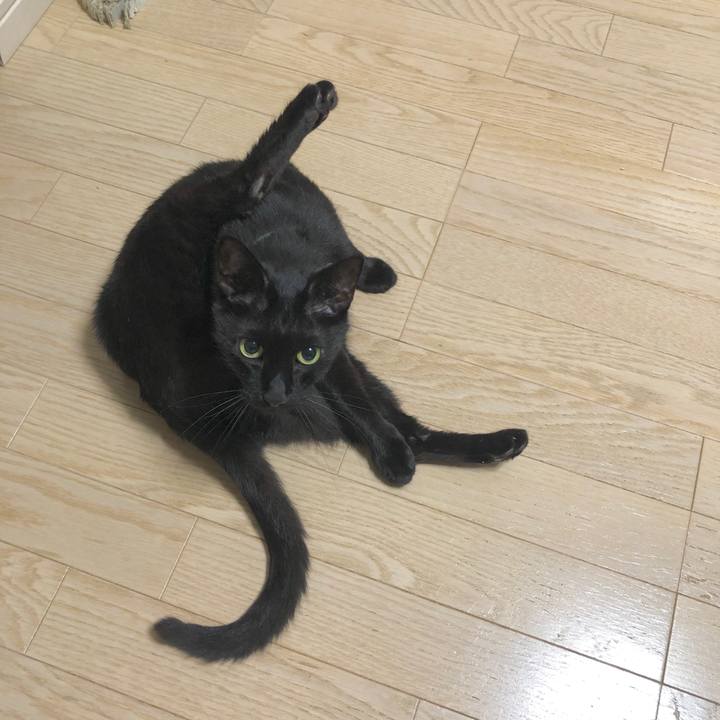 21019ab2 d146 4277 9cb4 1add8470000d 1594901058706