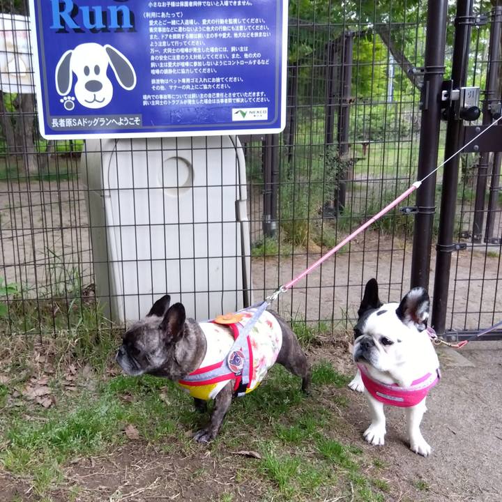 2101a8a4 09b2 4927 8f3a 8a8ad4863f56 1716723265591