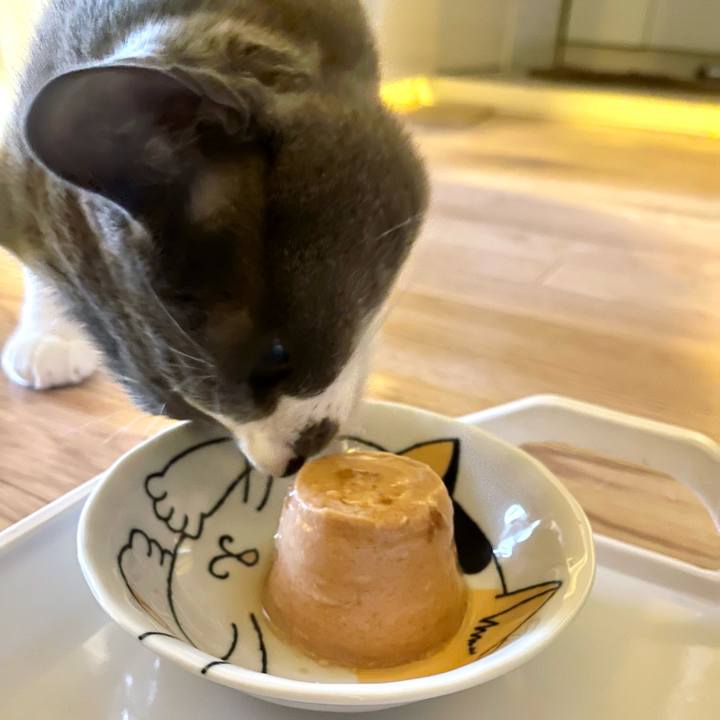 2101b7b9 950f 420a 8ba3 e06275906f35 1669444392022