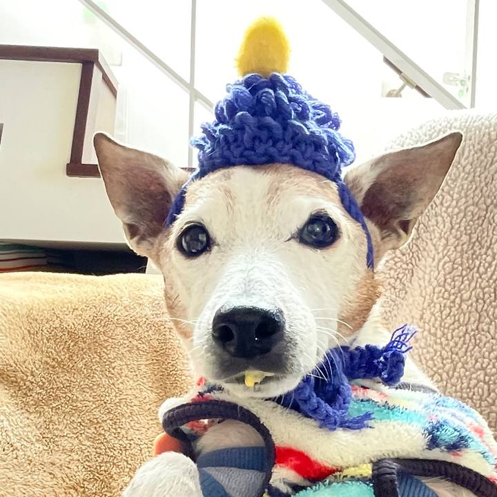 2101bf19 f10a 4eae 89da 587e2eb2497d 1770087369298