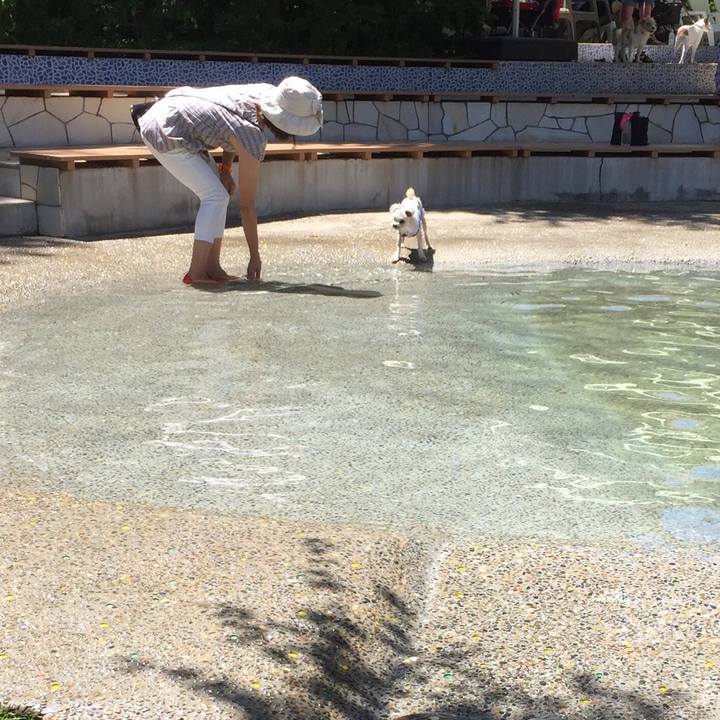 2101f901 ad14 46c2 970e a8f4679e127f 1534501203159