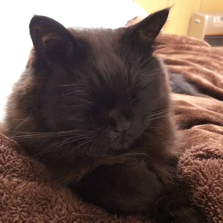 21024456 6f98 447c 9f8d 75599f6e9616 1552831925983