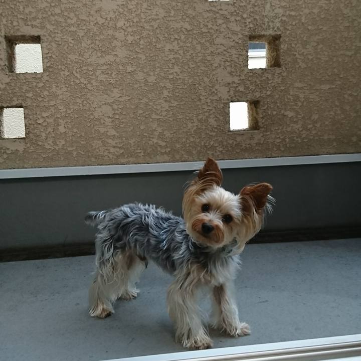 210259a2 5007 4e3d 8643 93bef66c1830 1530834744832