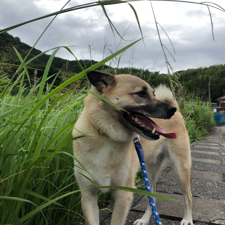 21026e1d 5783 4cf5 b316 e4b513565171 1626425588251