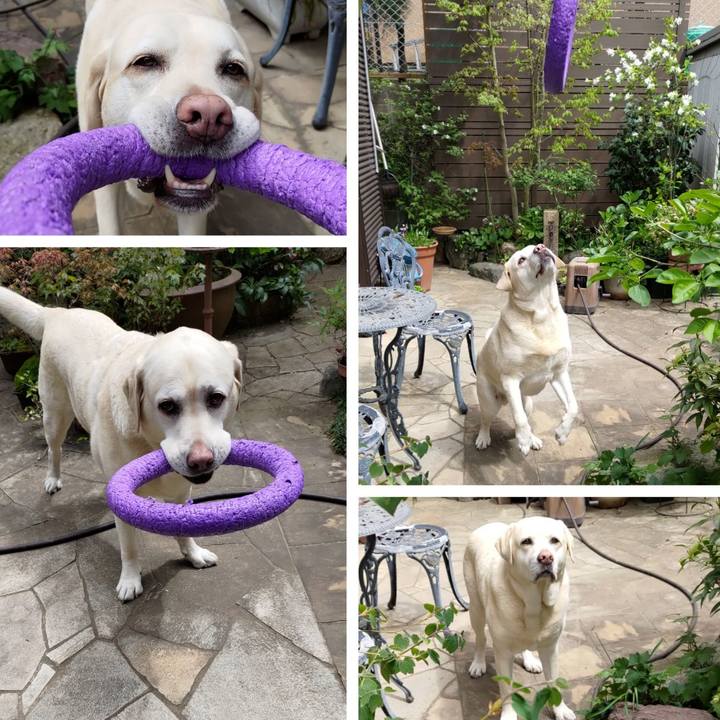 21028496 f40a 4054 9a55 9e1b1ebb1836 1712808130749