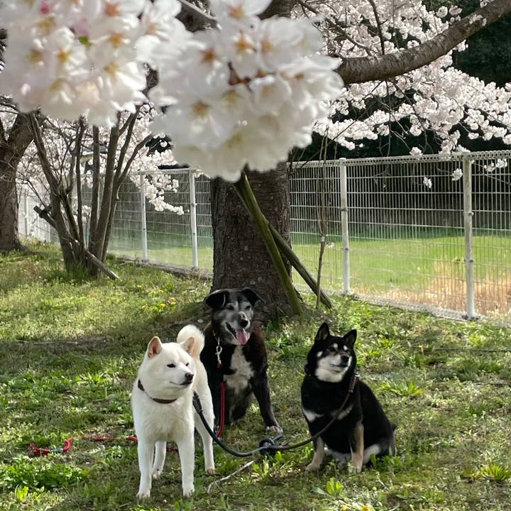 21028ae1 e8f5 4f71 8140 cc75da338a65 1649197340946