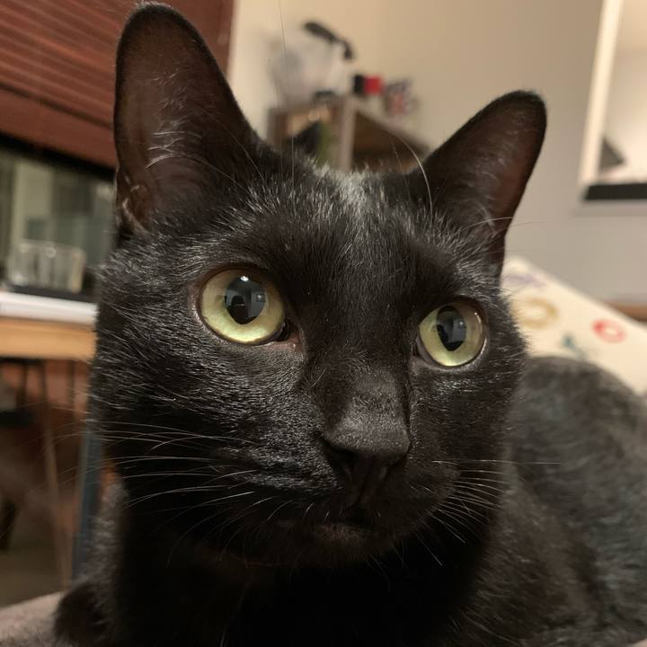 2102a02f 99e0 477e a772 2b96cde5180d 1572700084423