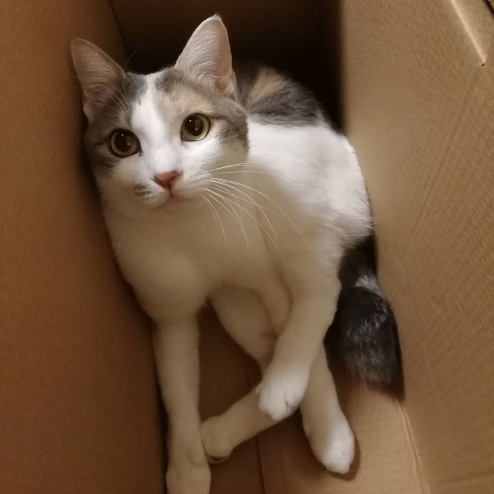 2102a6b5 d342 4c2e ae81 238add487615 1547641469477