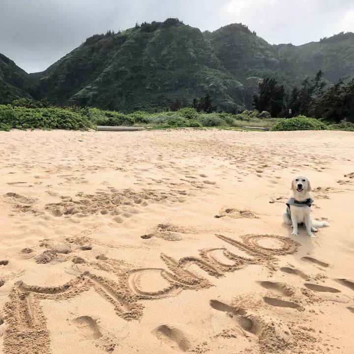 210301fb 0744 43cb 946e 4c769df5bd87 1540541289290