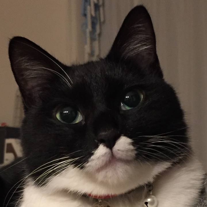 210325a3 874a 4103 92f2 f2768f579388 1515231688273