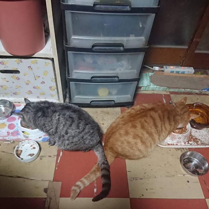 21035c25 27e1 41a0 92b7 8691b21f820b 1603917218578