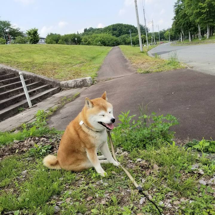 21038dfd 6b2e 4a93 9215 17fbdca094f4 1653197711593