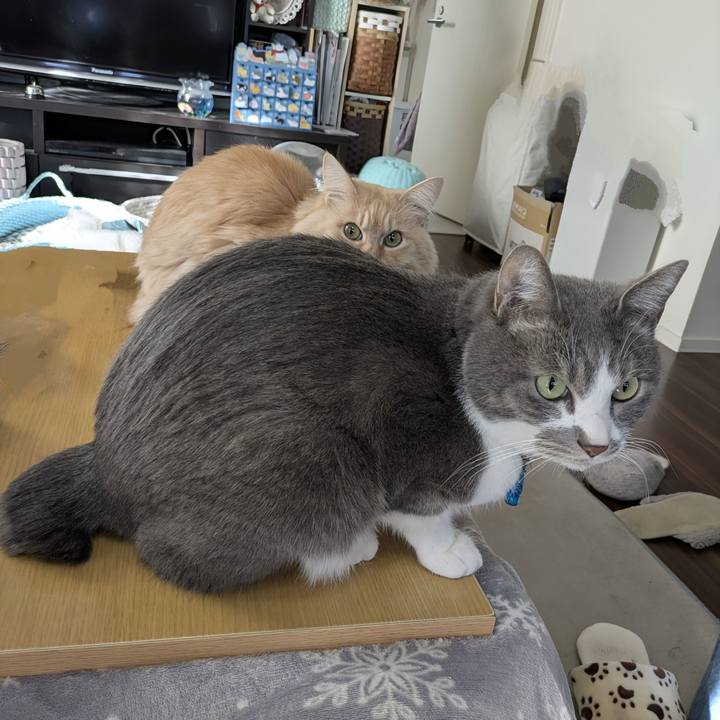 21039e12 31ba 4bc4 9df4 abee69bf455a 1768355861098