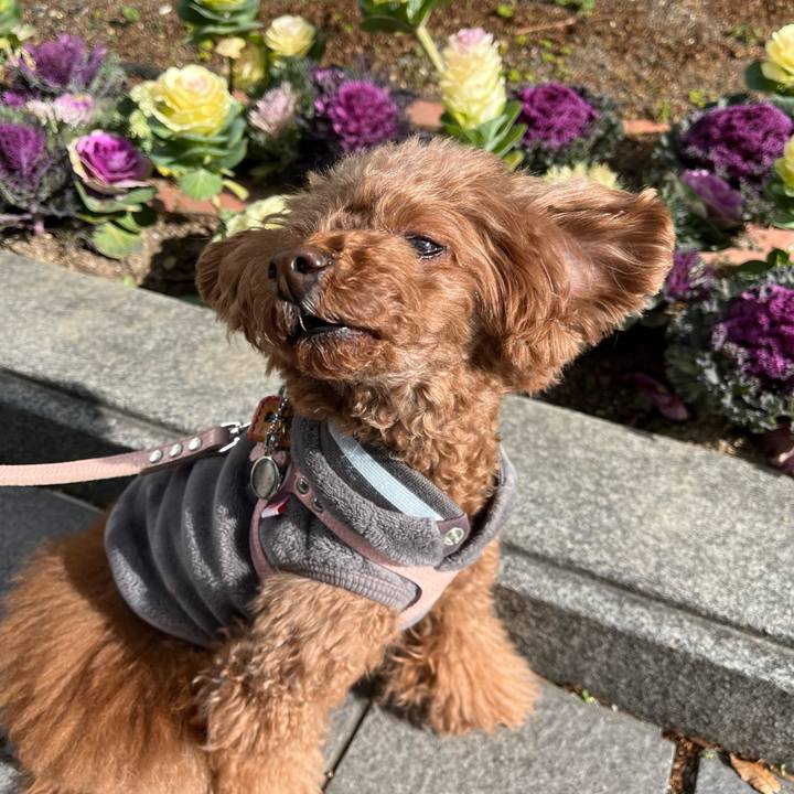 2103ac5f 2e68 4e5f a522 b6636616f501 1641005841974