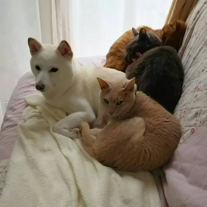 2103b53d ec41 4788 b35f 3a622fca87fd 1521422909649