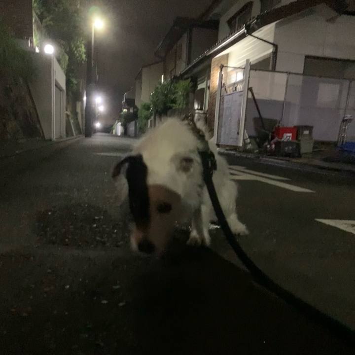 2103ec6b 36ad 4ce3 9161 7566399aadd3 1688559626045