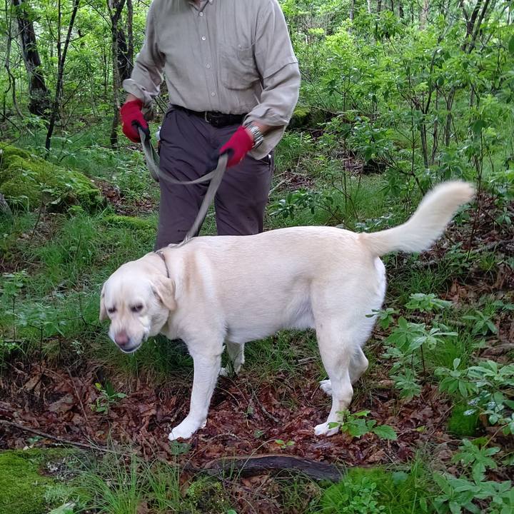 2104211b 78c7 4974 b974 7263ab8acdc6 1595553659956