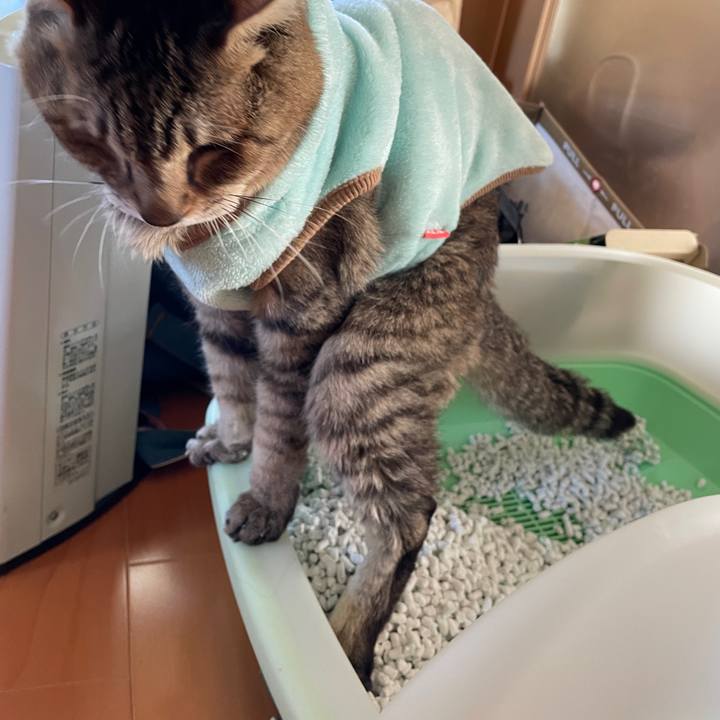 210431c2 4dea 4d85 92ce 70c8bb6797ea 1641214901459