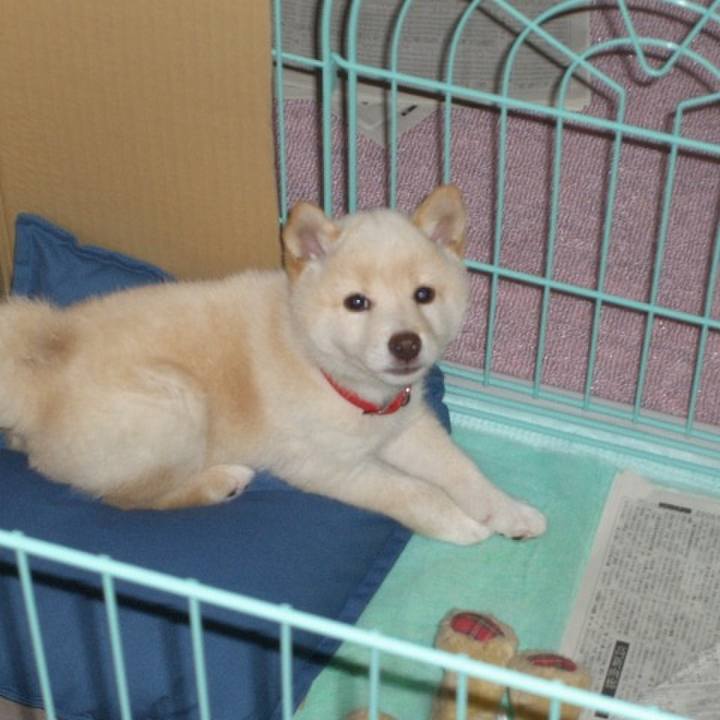 2104b60c ceff 4bec 9738 c30940229433 1637591306010