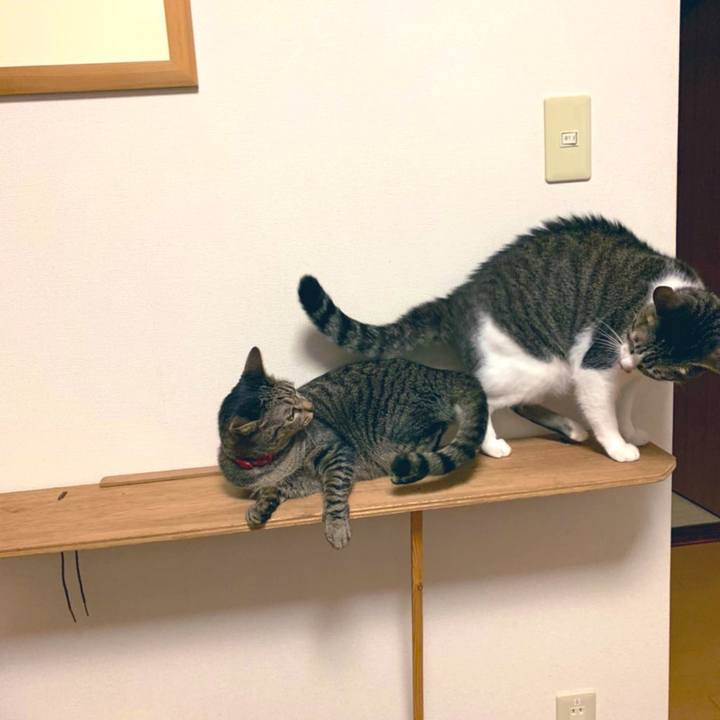 210502bb 68ff 487f 8fe0 7f014d7844b8 1572566571131