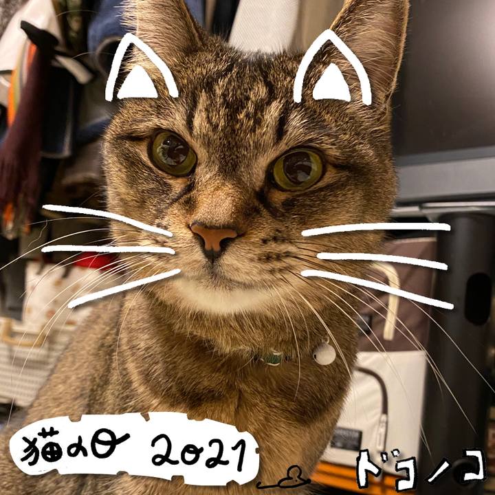 21058f5e 59b1 444d 84aa c6f35a4e35e1 1613968000994