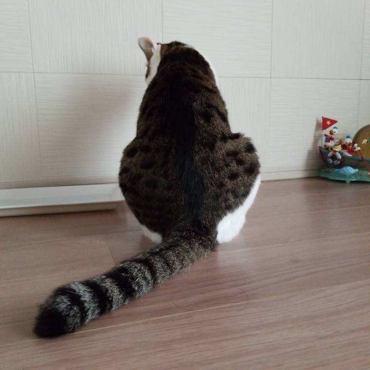 2105b429 59e4 4d1a 9a44 3f68410b09a7 1567028266542