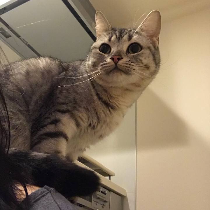 2105d324 e0b1 4645 96ad 75cc6af16e3f 1515624743758