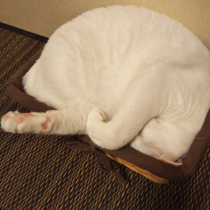 2105f12a ef0d 4cf7 9c0e c7a33c3559b2 1574688030802