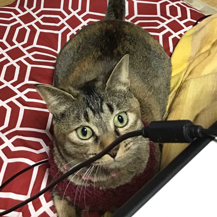 210607cf 38c4 47a0 8323 e61ca7fc3ab3 1614670268424