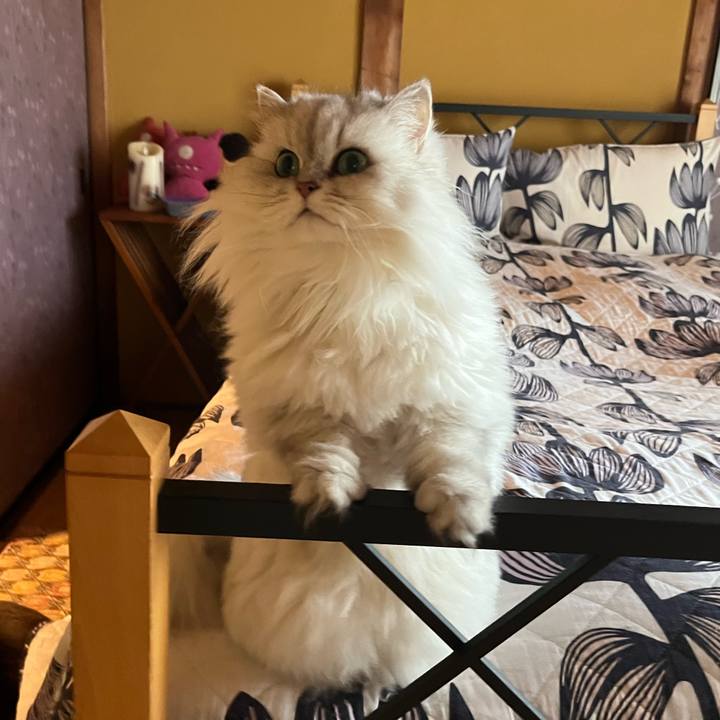 2106150a 84fe 4344 8591 8b531166dc97 1674369124594