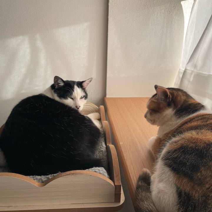 21063bbf 6535 4344 a4e7 bec7f8e23915 1711016214980