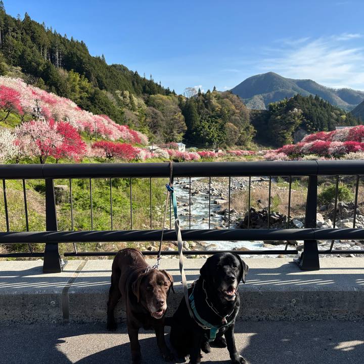 2106483c d2cc 4de7 aff3 dceea21c3e73 1776945246051