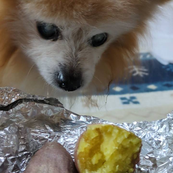 21066737 f859 4b47 94a6 1d9c9715d1ca 1732064143540