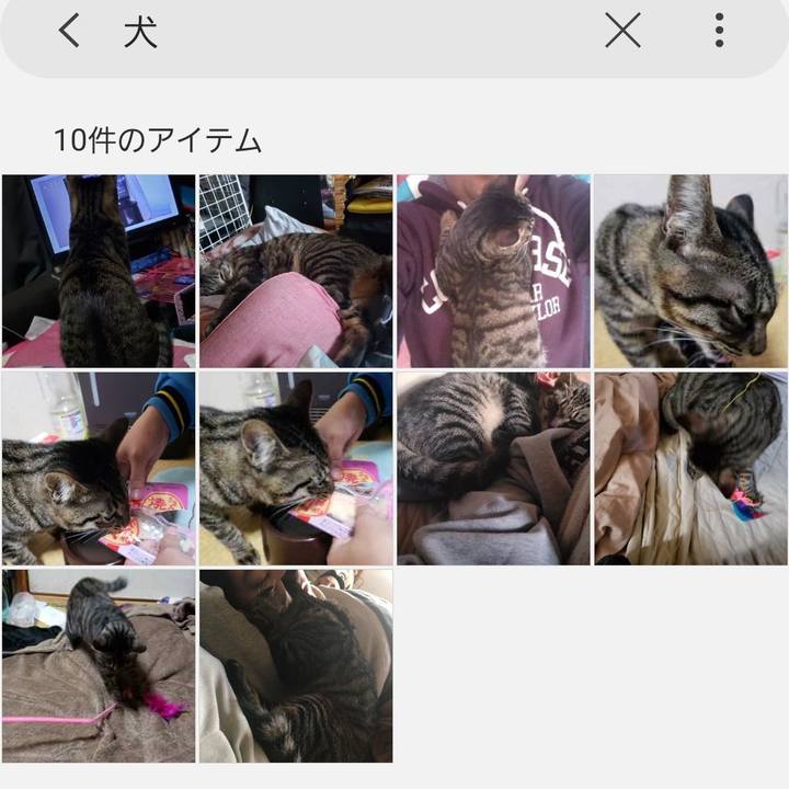 21066a24 f7aa 4a39 a48d 180ae3399dc7 1561579416031