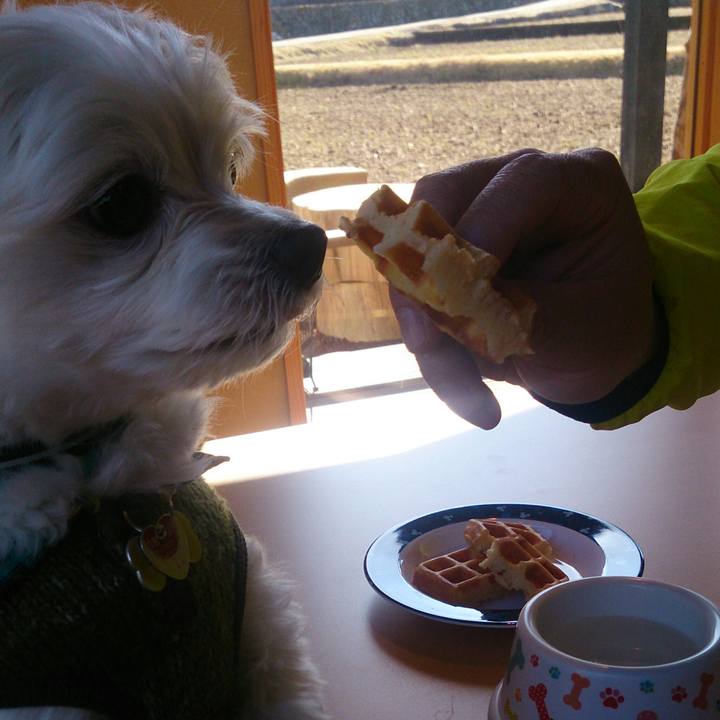 210670c2 968e 460e bcef 93c18e1d7c59 1517742651269