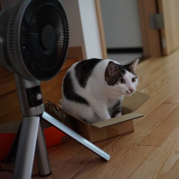 21069d82 3b78 4e20 9deb a5fe607d8cdb 1531871584870