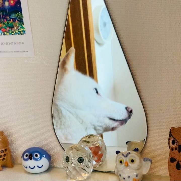 2106a3e0 0068 4cd6 ab35 52eca77a13e8 1626384536241