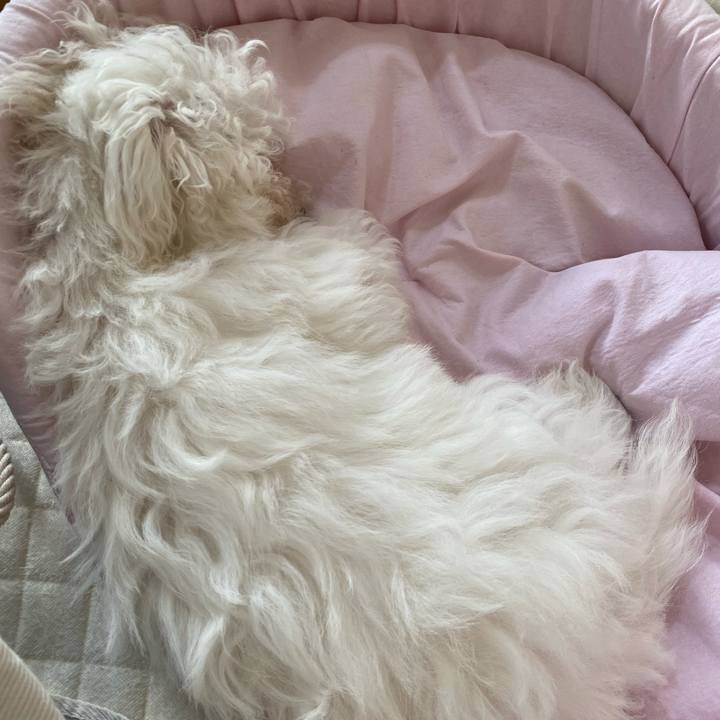 2106c210 e7b5 4fd1 b040 33c53fb72825 1745461747734