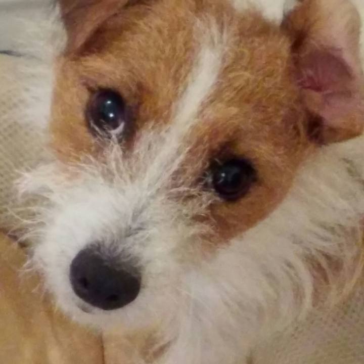 2106d4a9 3314 4e29 9556 61ffcbedcef0 1536574796934