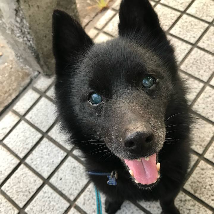 2107102e 524a 4cba a1bb 322697fba9ee 1764166292108