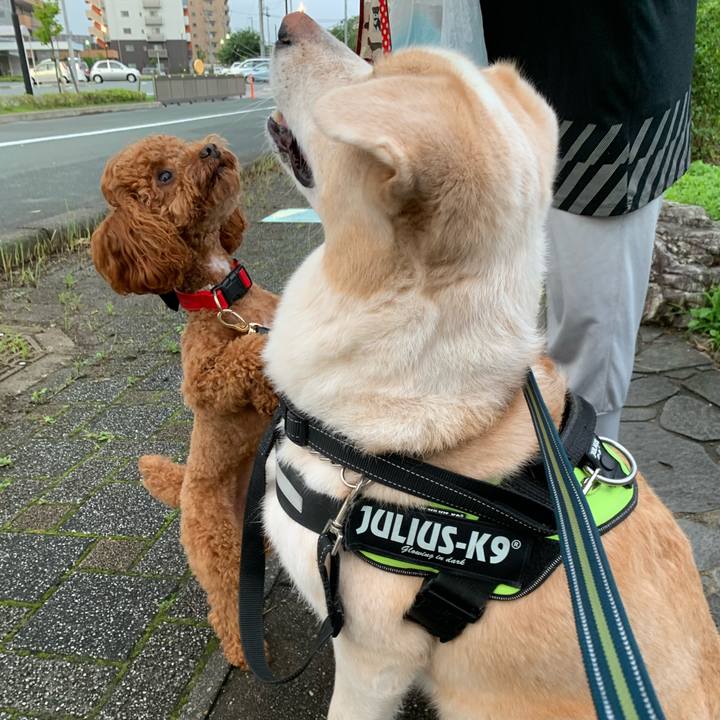 210715aa 8e00 4f92 992f 2ec0a9173a2b 1594737829580