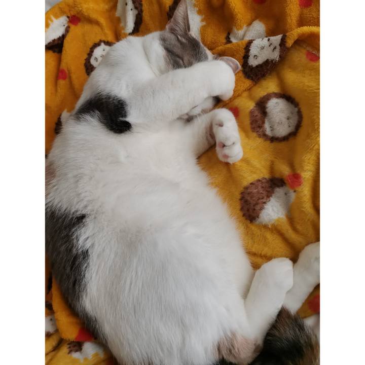 21072765 347a 42ca b7fd 232ca134bb99 1638070762757