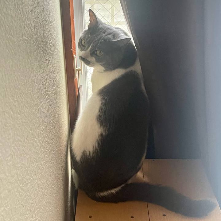 21073c90 65c0 4e66 a412 50ab31483e88 1665360716918