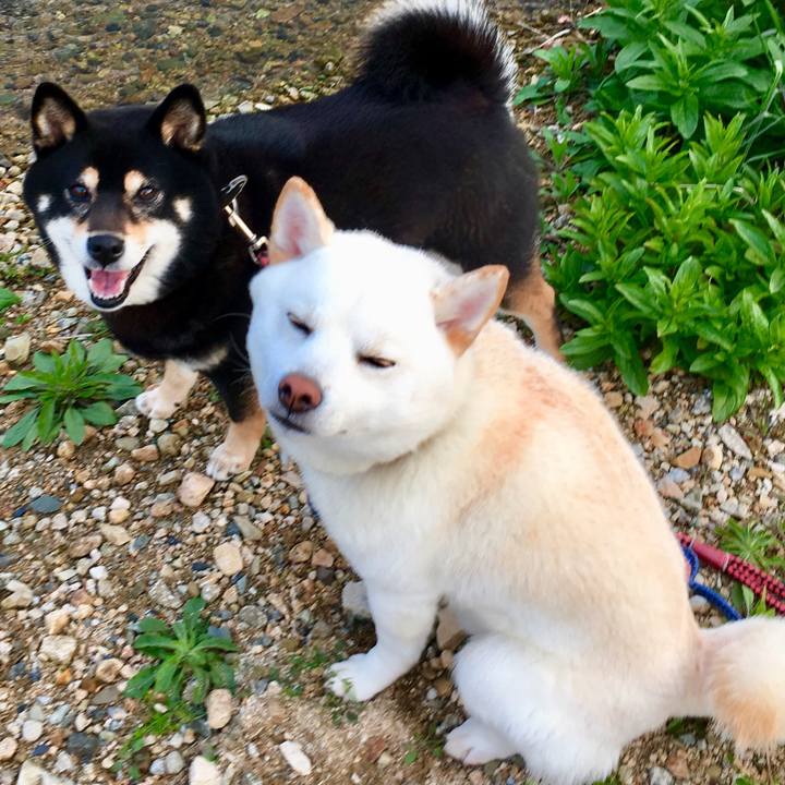 21075dc6 4254 4cc4 917a 5c4939f12ecc 1554075084789