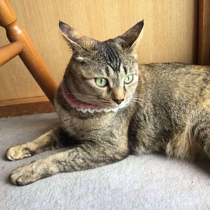 2107c530 ed4d 46a6 9ecf 31f907062796 1621056565108