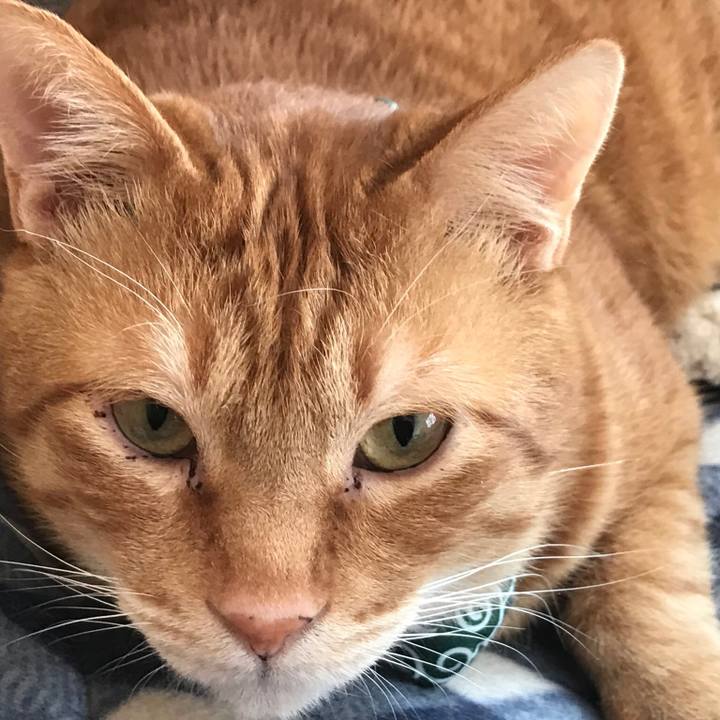 2107d1e1 b381 427d 85ea 090d51c4d3f7 1561248900342