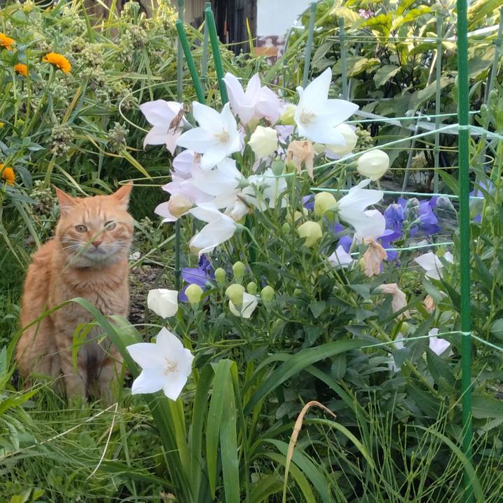 2107ea0a 47cf 4239 bf3f 6629242fd4ed 1720693520731